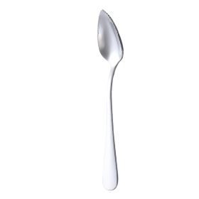 Fruit Spoon Stainless Steel With Serrated